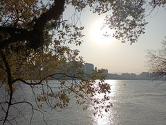 -江心屿景区