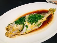 -三利音·玖弄小鲜(浦东嘉里城店)