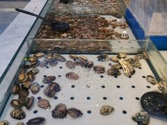 -川骄海鲜自助(河东店)