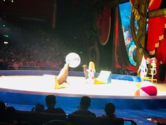 -珠海横琴长隆《卡卡虎奇遇记》