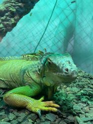 -Zoolung Zoolung动物主题公园(海信广场店)