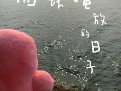 -四明湖