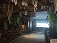 -御池园(顾村公园店)