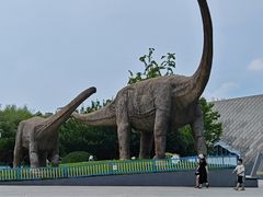 -安徽省地质博物馆