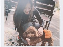 -三里屯东五街银杏大道