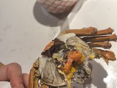 -杨氏青龙虾·羊蝎子(托乐嘉店)