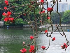 -东山湖公园