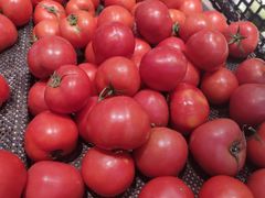 -利群海琴购物广场(商丘路店)