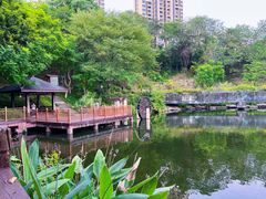 -重庆彩云湖湿地公园