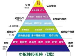 -金色雨林感统训练·专注力·语言认知·心理沙盘(天通苑校区)