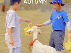 -前小桔亲子创意农场·草莓采摘·露营烧烤