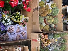 -循礼门鲜花花市(武汉循礼门店)