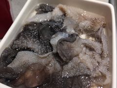 捞派毛肚-海底捞火锅(龙湾万达广场店)