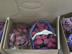 -马陆小张葡萄园农家乐