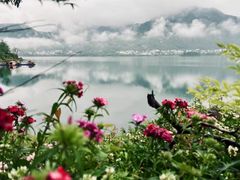 -雷波马湖风景区