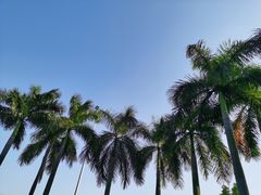 -爱奇体育俱乐部(奥体中心店)