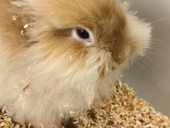 -怪兽屋·羊驼·猫咖·狗咖(俊华广场店)