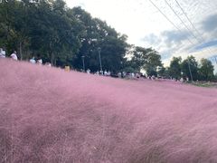 -牛岗山公园