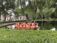 -石家庄市动物园