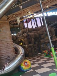 -卡通尼·Safari非洲探索乐园·生日会(金桥国际商业广场店)