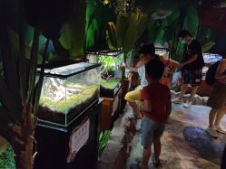 -酷嗒动物文化乐园(cutezoo西溪乐天城店)