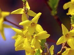 -北京西山国家森林公园