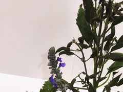 -今日陶艺(富力广场店)
