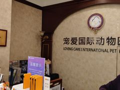 -宠爱国际动物医院· 猫科· 外科·中兽医(长白店)