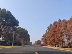 -阳澄湖半岛旅游度假区