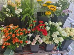 -雪蔓之鲜花气球派对(家佳源时代中心店)