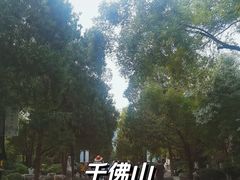 -千佛山风景名胜区
