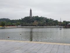 -顺峰山公园