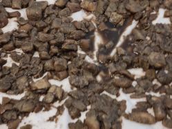 -姜美堂·蒸姜除湿の纤体美颜馆