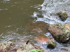 -赤水丹霞旅游区·大瀑布