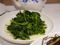 酒香豆苗-老吉士酒家(天平路店)