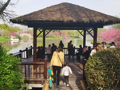 -圩墩遗址公园