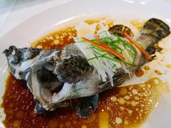 清蒸沙巴龙趸-东海海鲜酒家(中信广场店)