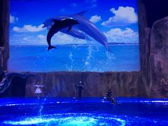 -华夏文旅海洋公园