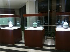 -北京大学百年讲堂