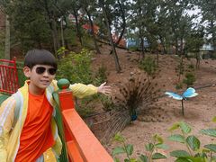 -西霞口神雕山野生动物世界