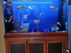-知足堂养生会所(碑亭巷店)