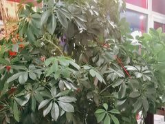 -惠丰堂饭庄·烤鸭·京味菜(西北旺·唐家岭店)