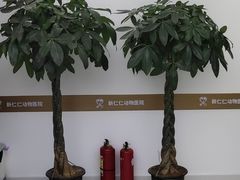 -宠福鑫动物医院·动物疾病诊疗中心(天通苑店)