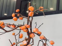 -饭怕鱼(阳光100店)