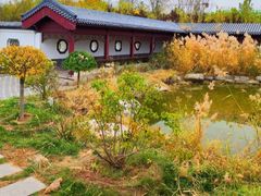 -水西公园