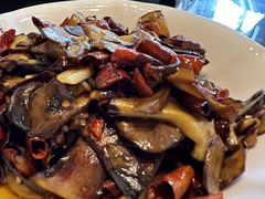 -易门野生菌府·菌海森林(月牙潭公园店)