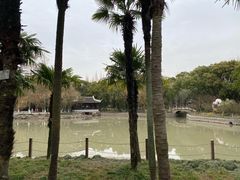 -瀛洲公园
