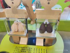 -呼和浩特市老牛儿童探索馆