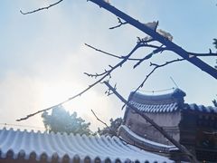 -香山公园