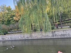 -元大都城垣遗址公园